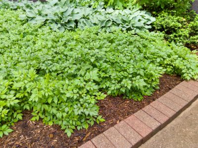 Brick Hardscape Construction in Framingham, MA