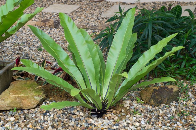 Pea Gravel Application